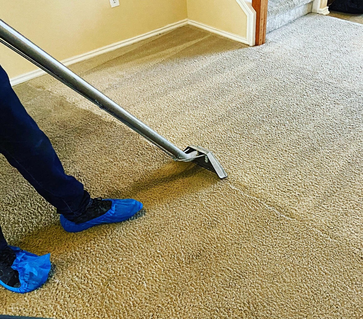 WHY PROFESSIONAL CARPET CLEANING?